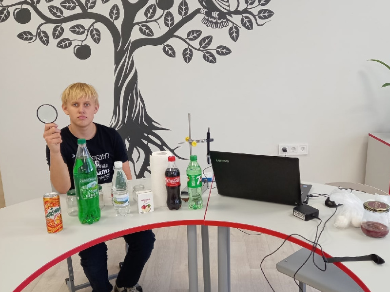 Выполнение исследовательских проектов Выполнение исследовательских проектов